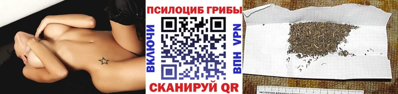 Псилоцибиновые грибы мухоморы  ссылка на мегу ONION  нарко площадка формула  Обнинск 